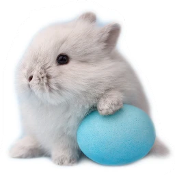 freetoedit bunny easter eggs egghunt sceaster