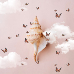 freetoedit shell clouds butterfly