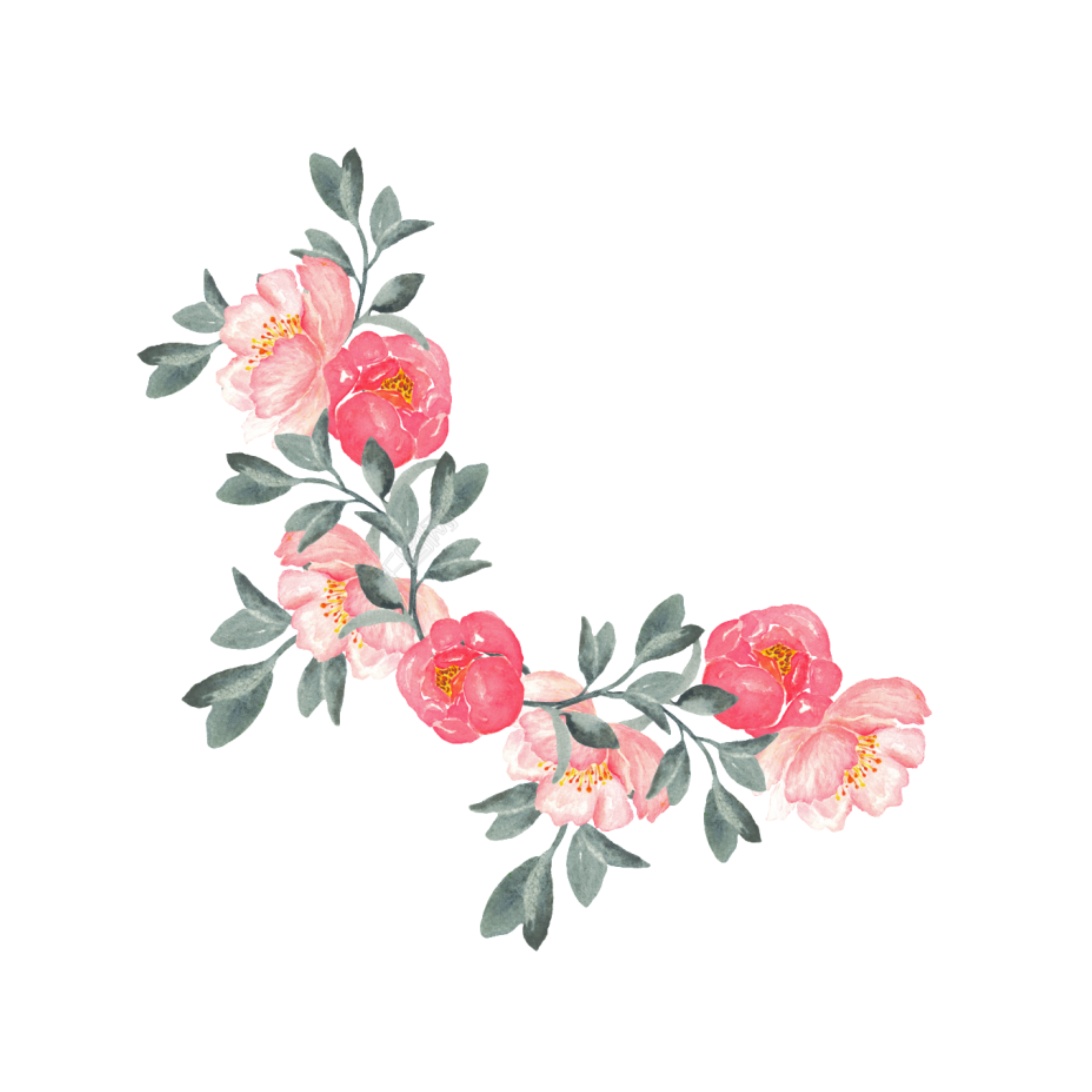 Pixart paw3395. Стикеры цветы. Акварельные цветы угол. Розовые цветы акварель угловые. Цветы Стикеры без фона