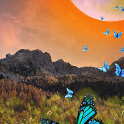 freetoedit landscape sun mountain butterflies