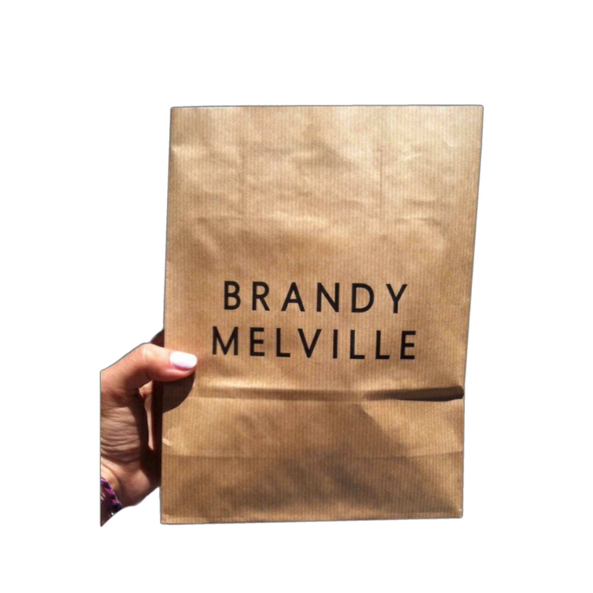 brandy melville clear bag