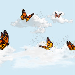 background wallpaper butterfly clouds cutee freetoedit