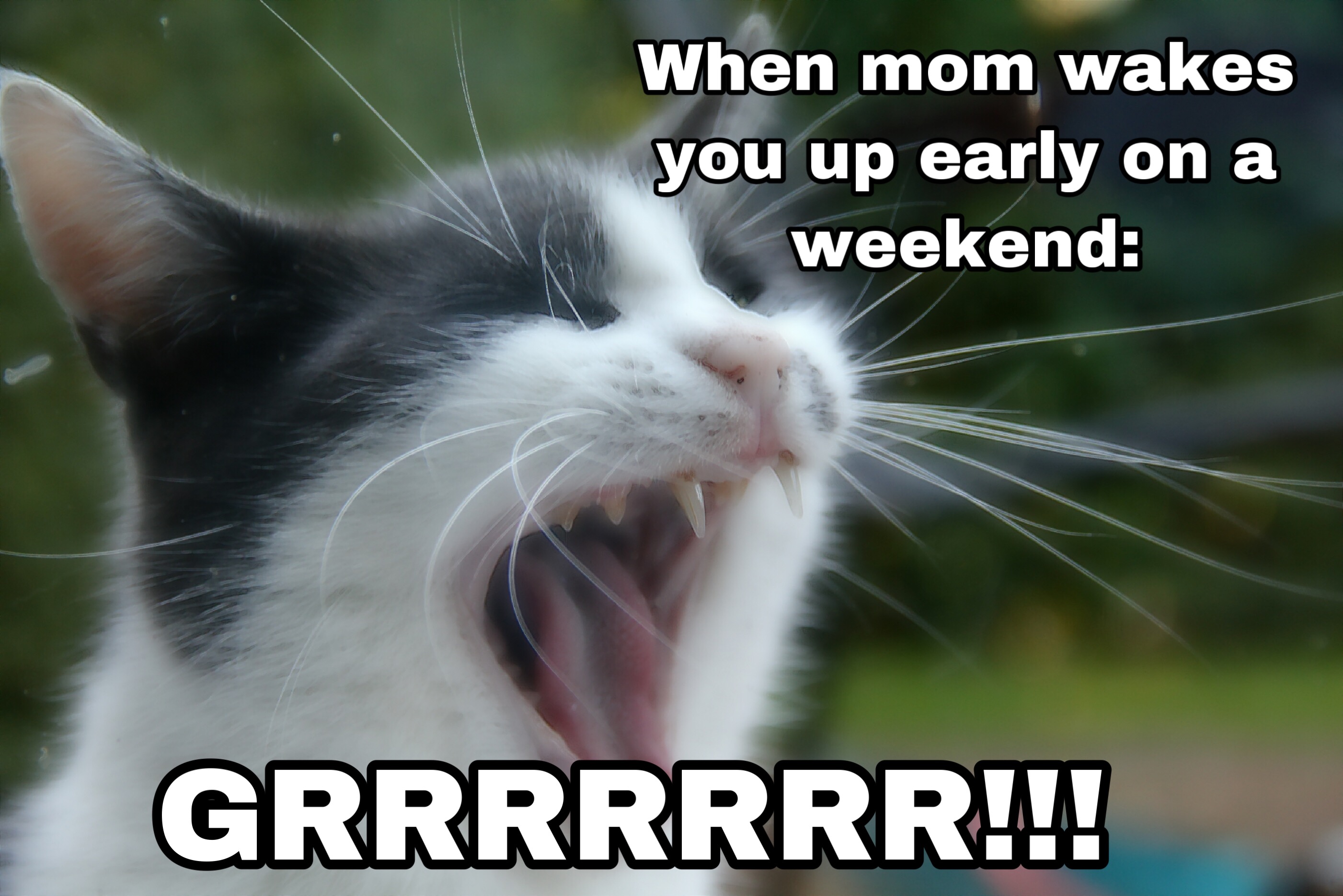 grrrrr meme sleepin lol 326308519000201 by @memegirl008