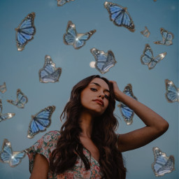 freetoedit remix butterflies butterfly blue