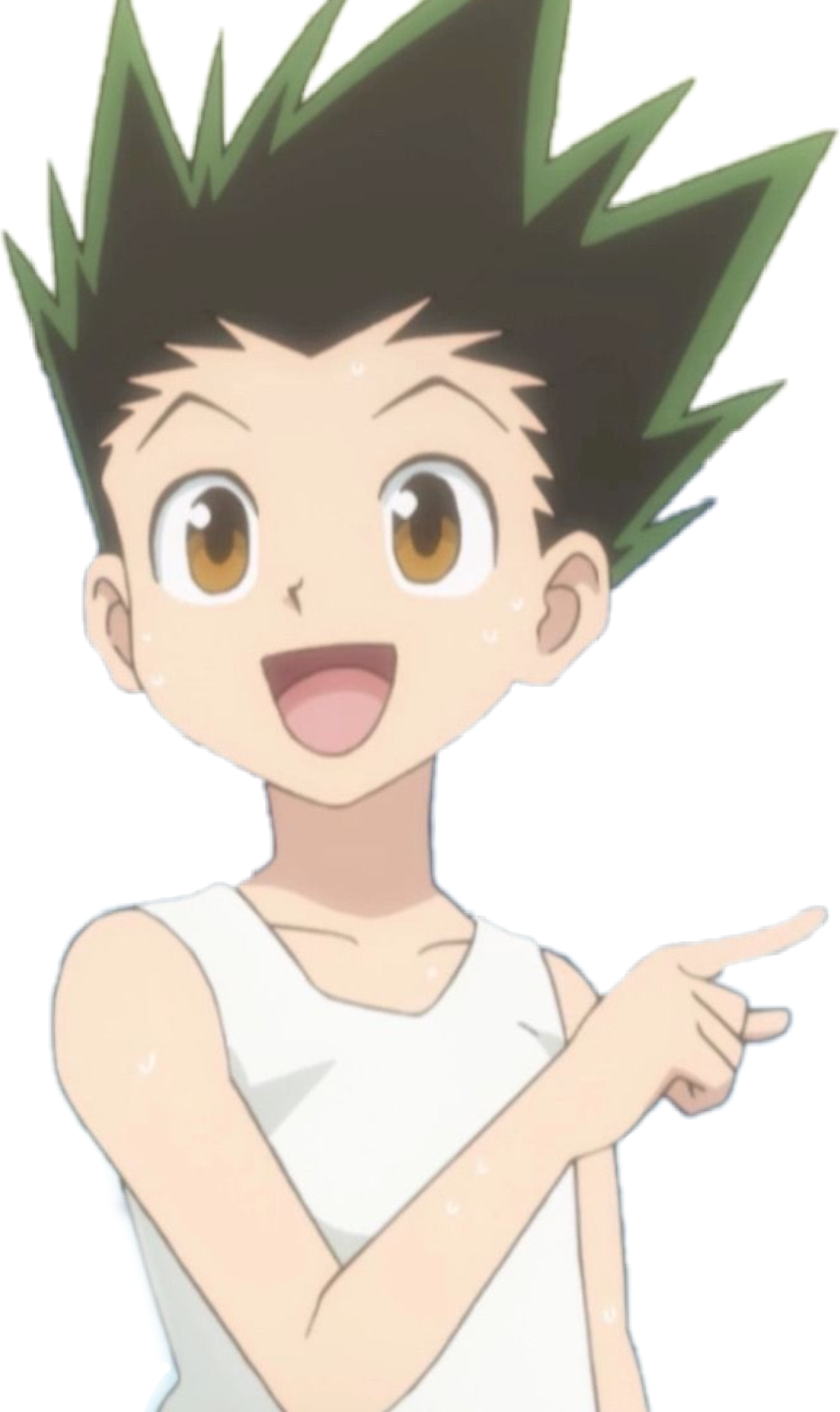 freetoedit gon hxh gonfreecss #gon sticker by @nexukokamxdo