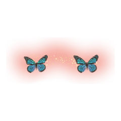 blush mariposa dosmariposas blushaesthetic idk freetoedit