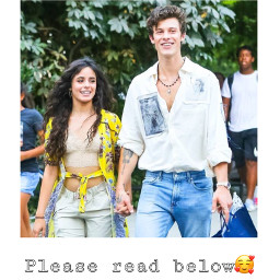 shawmila4ever mendesarmy camilizers shawnmendes camilacabello freetoedit