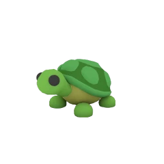 Turtle In Adopt Me Roblox
