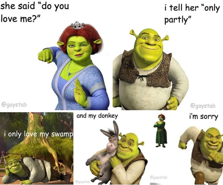 Shrekmeme Image By Happy Pride Shrekmeme Image By Happy Pride