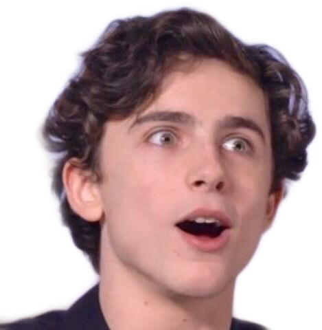 freetoedit timotheechalamet sticker by @ilovelaurie