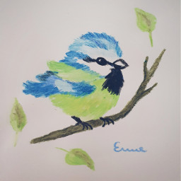 mydrawing birds drawing drawingchallenge watercolour