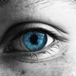 eye blue blackandwhite colorsplash