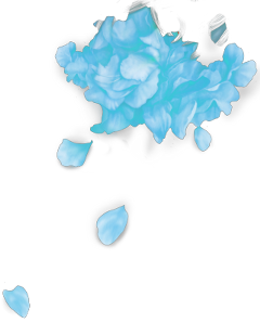 freetoedit floral flowerbush blue flower