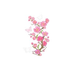 freetoedit flower pink pinkflower flowers