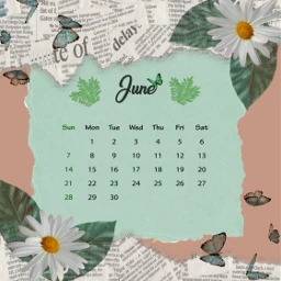 freetoedit calendar calendario 2020 asthetic srcjunecalendar junecalendar #summertime