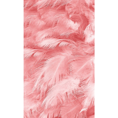 feathers featherdesign pink background перья freetoedit