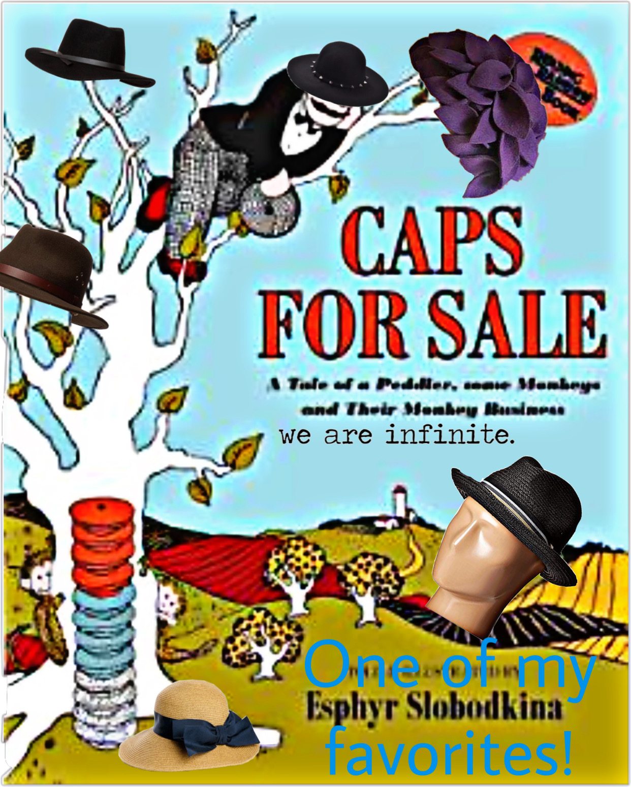 hats for sale book