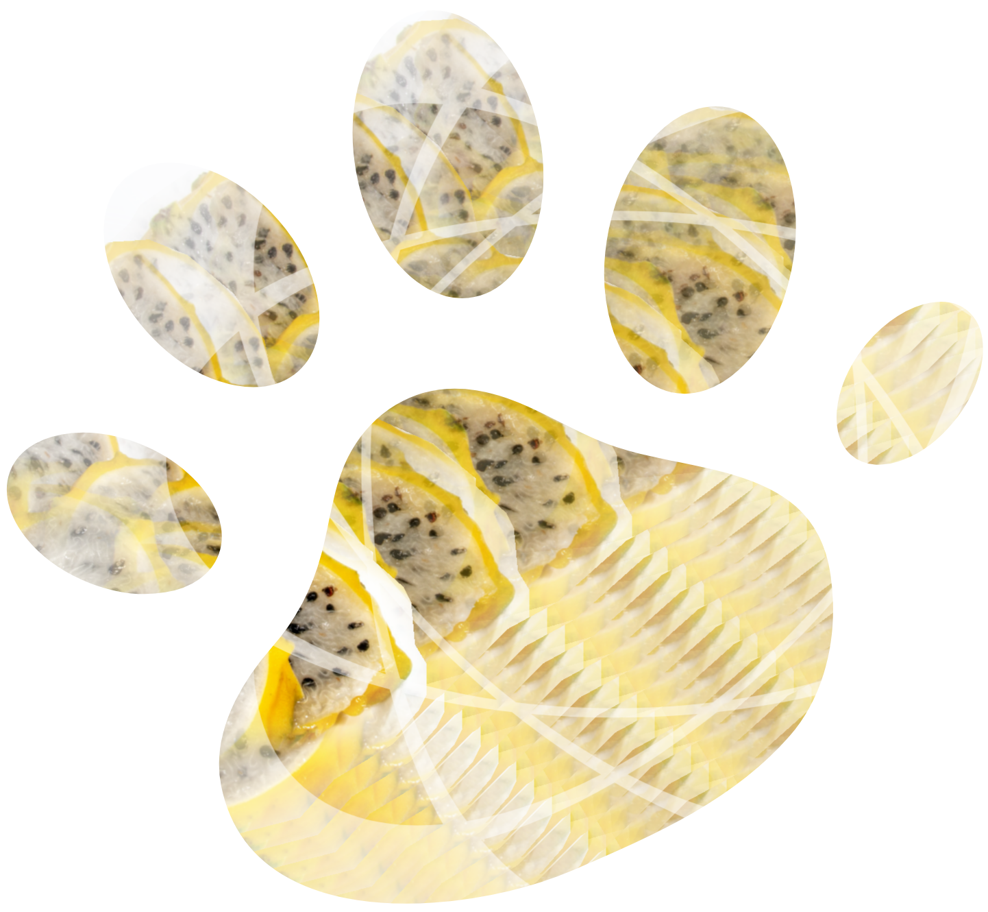 freetoedit ircdragonfruit dragonfruit sticker by suehunter1