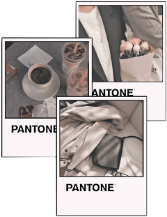 freetoedit pantone pantonecolor aestheticedit grey