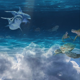 freetoedit underwater ircwaterworld waterworld