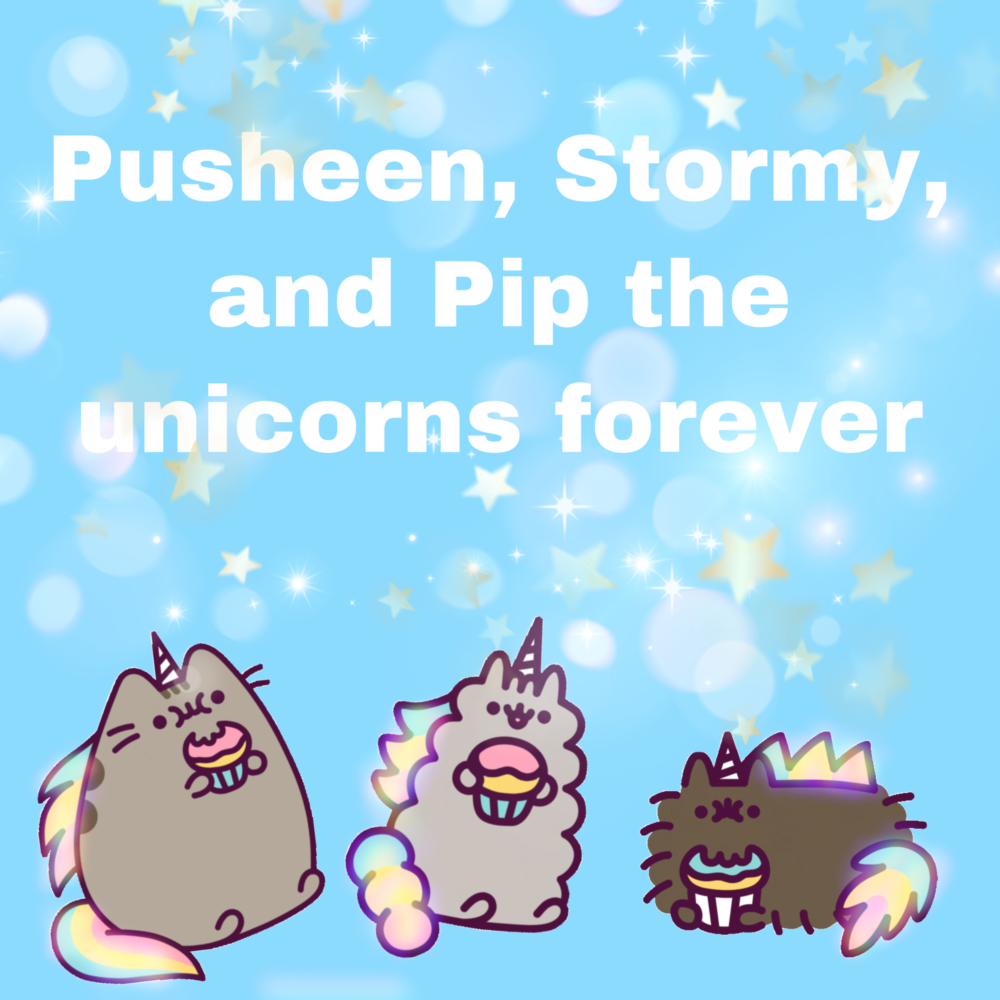 pusheen stormy unicorn