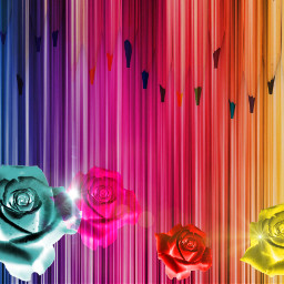 freetoedit art challengeoftheday rose colours ircrainbowcolors rainbowcolors