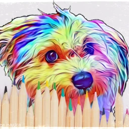 magdalenemagica dog doggy dogportrait therapydogs freetoedit ircrainbowcolors rainbowcolors