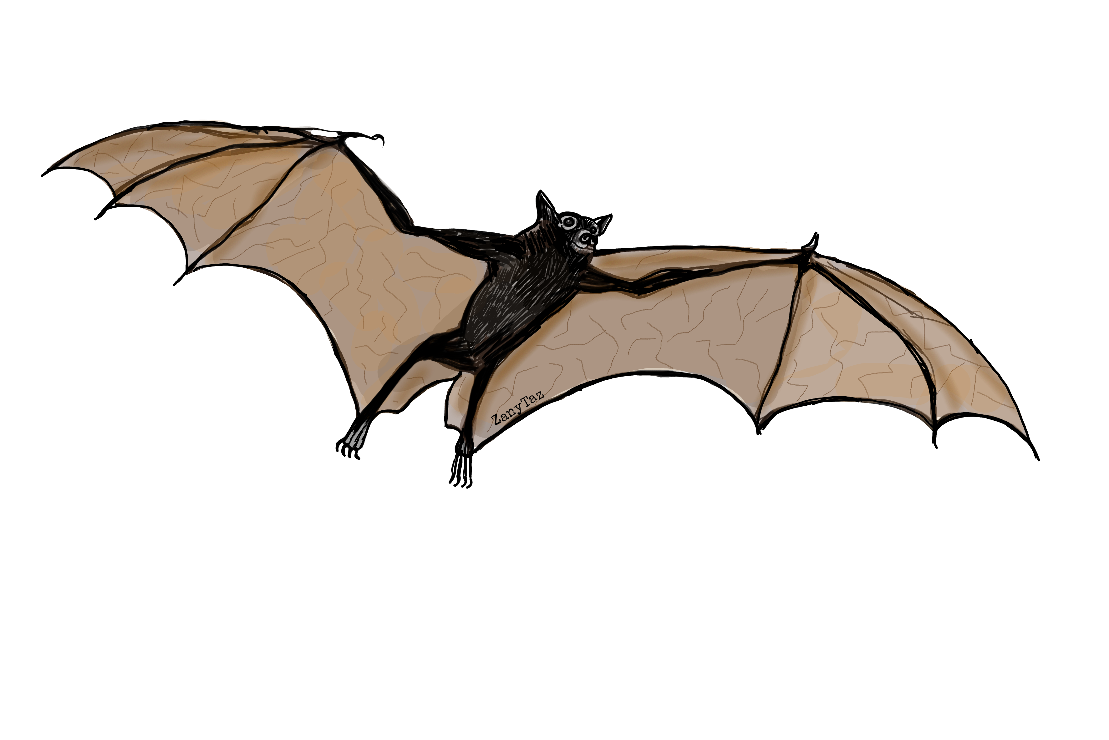 Flyingbat Bat Animal Wings Sticker By I Ðï½yaÅ£