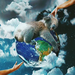 freetoedit koala world surreal surrealart ircreachout reachout hands
