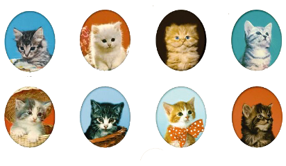 freetoedit cute kawaii sticker stickers