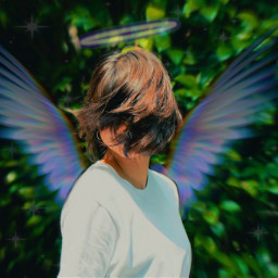 freetoedit angel wings wing angels irchairflip hairflip