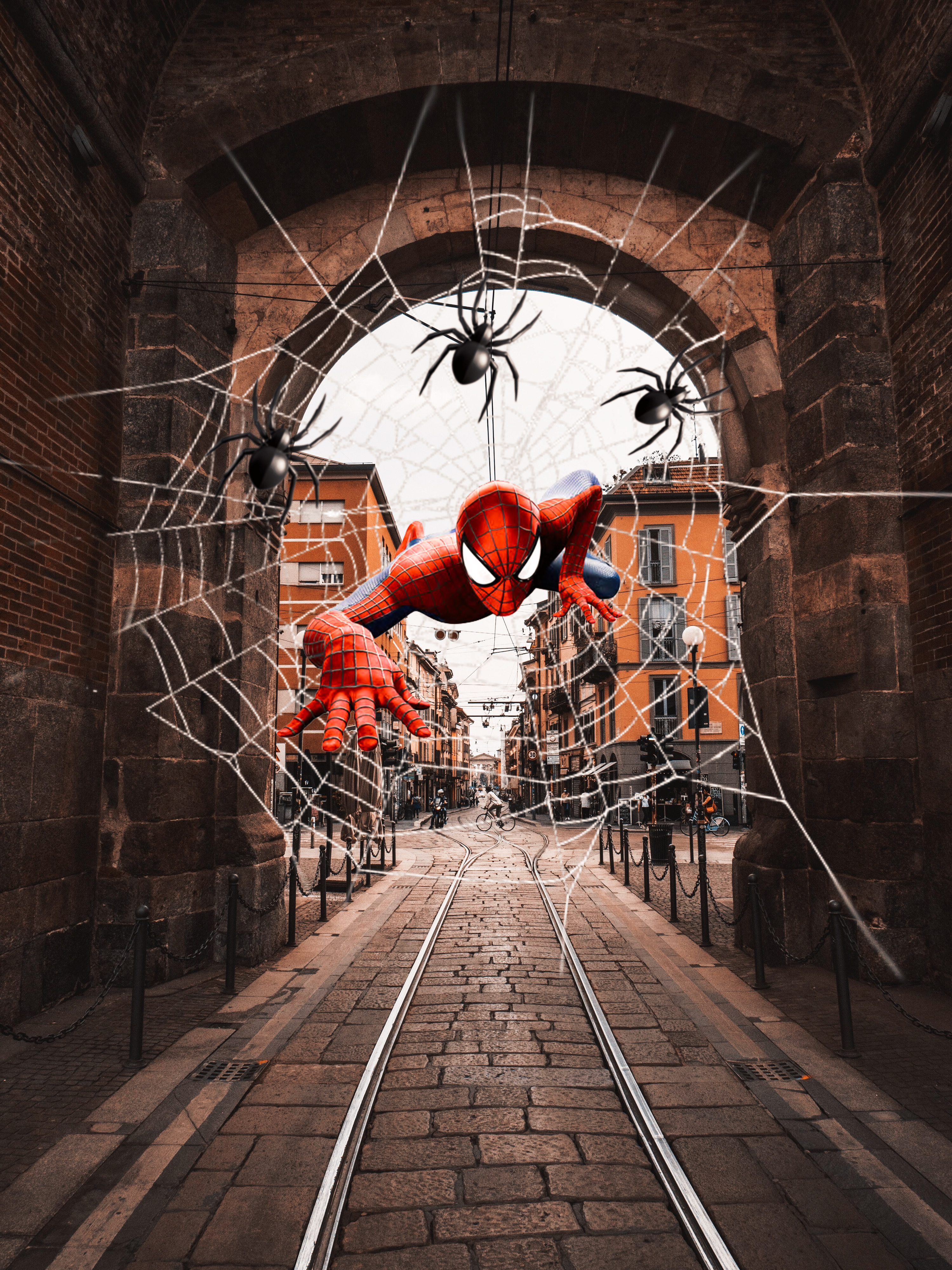 spiders spiderman spiderweb city image by @susilovesphoto