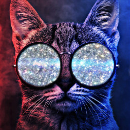 freetoedit cat glitter rcsummersparkle summersparkle