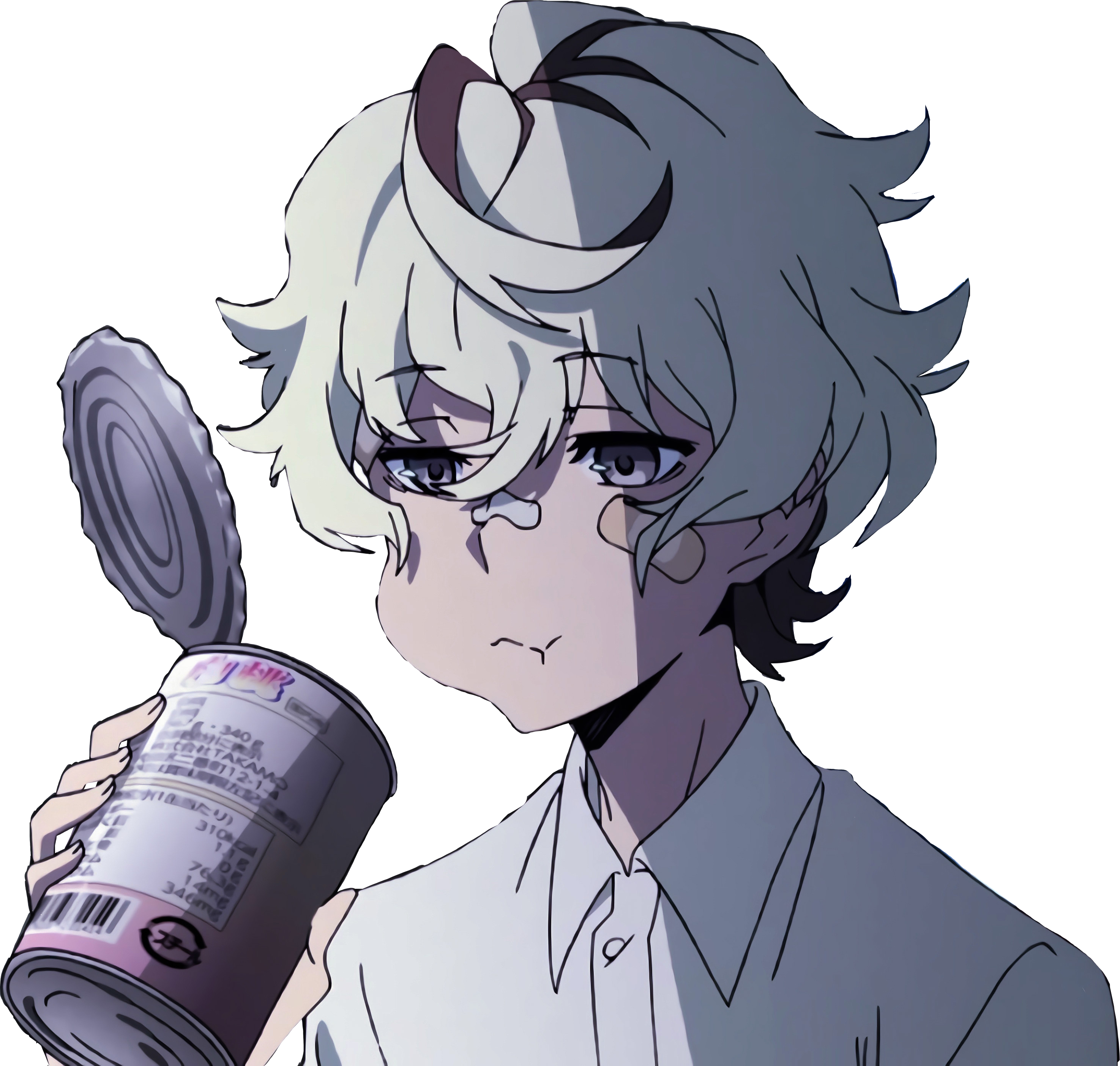 Агатов персонаж. Кацухиро агата. Эркюль пуаро и агата кристи коллаж. Агатов персонаж. Бриана ренделл.