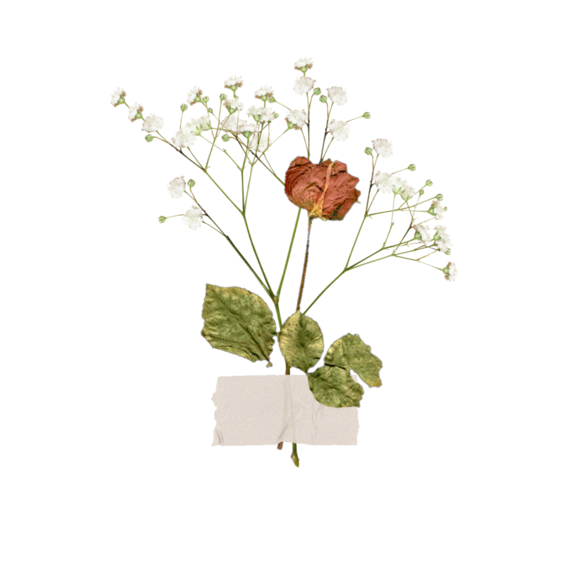 Стикеры цветы для телеграмм на фото 49