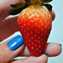 strawberry freetoedit