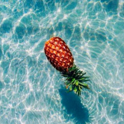 freetoedit summer beach ocean sea pineapple fyp xialuna