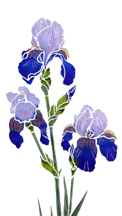 freetoedit iris flower flowers plants purple plant lavender irisflower