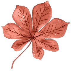 Largest Collection Of Free To Edit Red Leaves Stickers