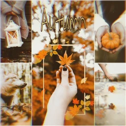 autumn осень freetoedit unsplash ccautumnmoodboard autumnmoodboard