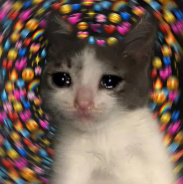Cute Heart Cat Meme Cute Heart Cat Meme