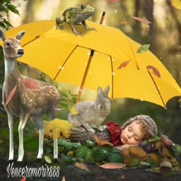 srcyellowumbrella yellowumbrella