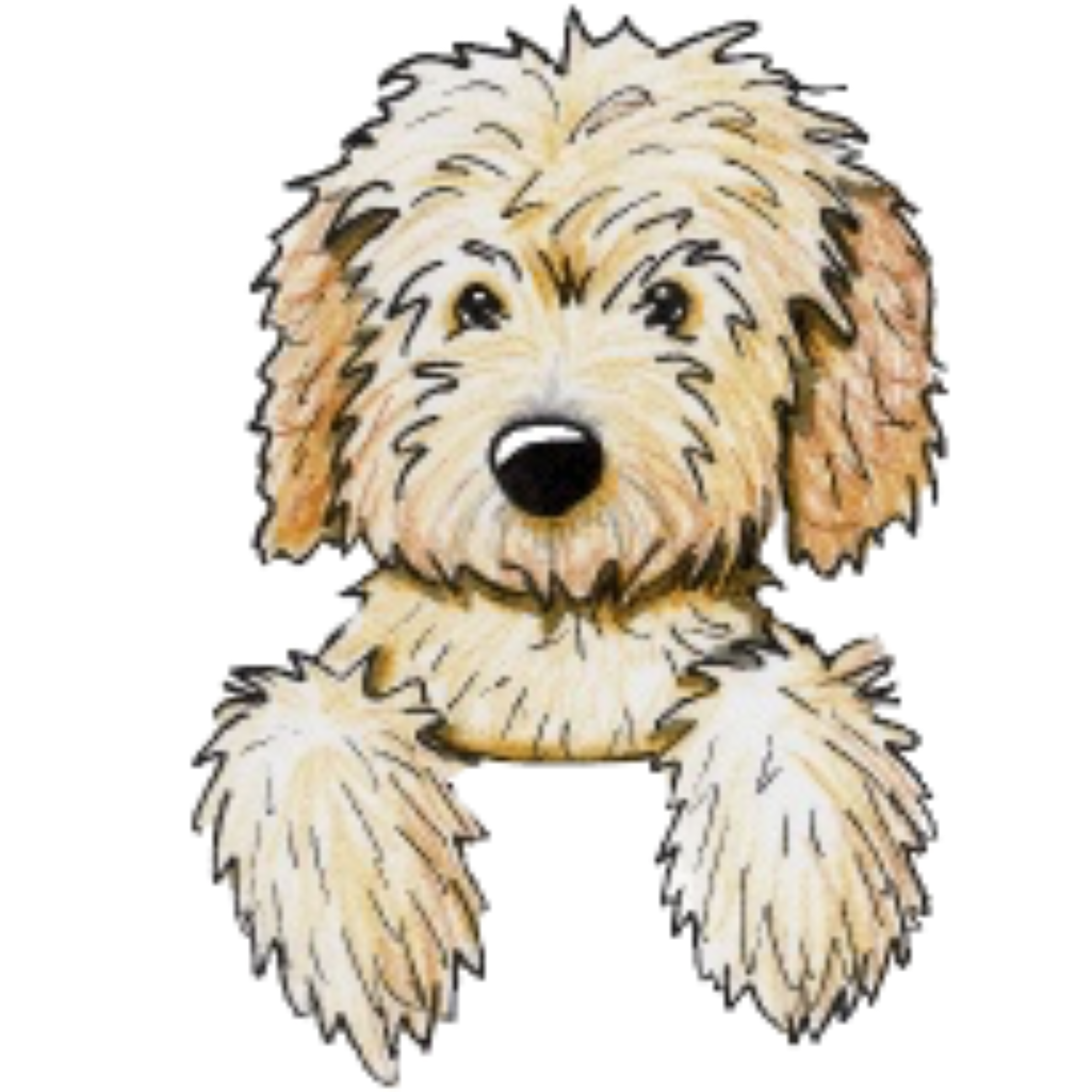 golden doodle goldendoodle drawing draw sticker by @filopilo.