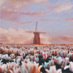 flowers aesthetic pastelcolors replay effects aestheticedit sky freetoedit