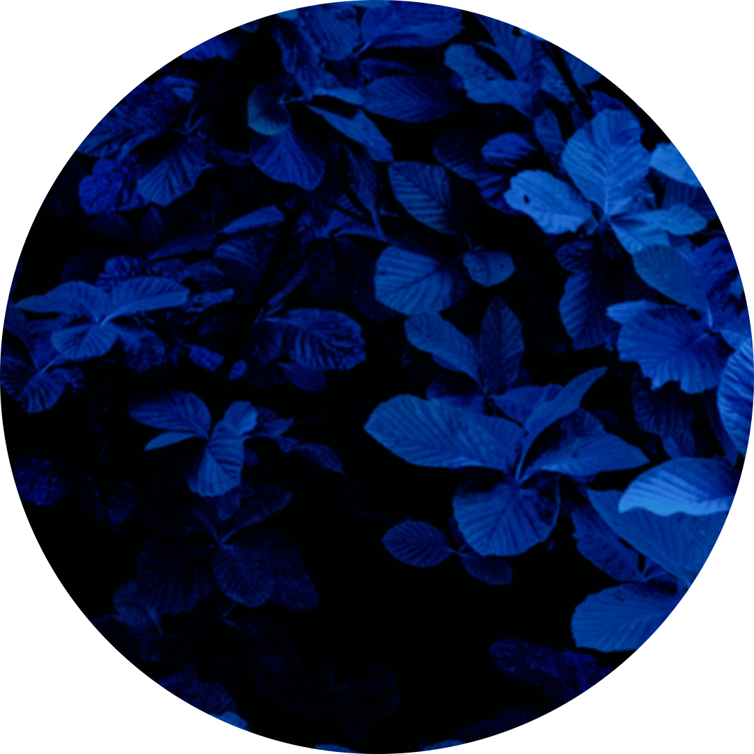 Darkbluebackground Darkblue Sticker By alivarell