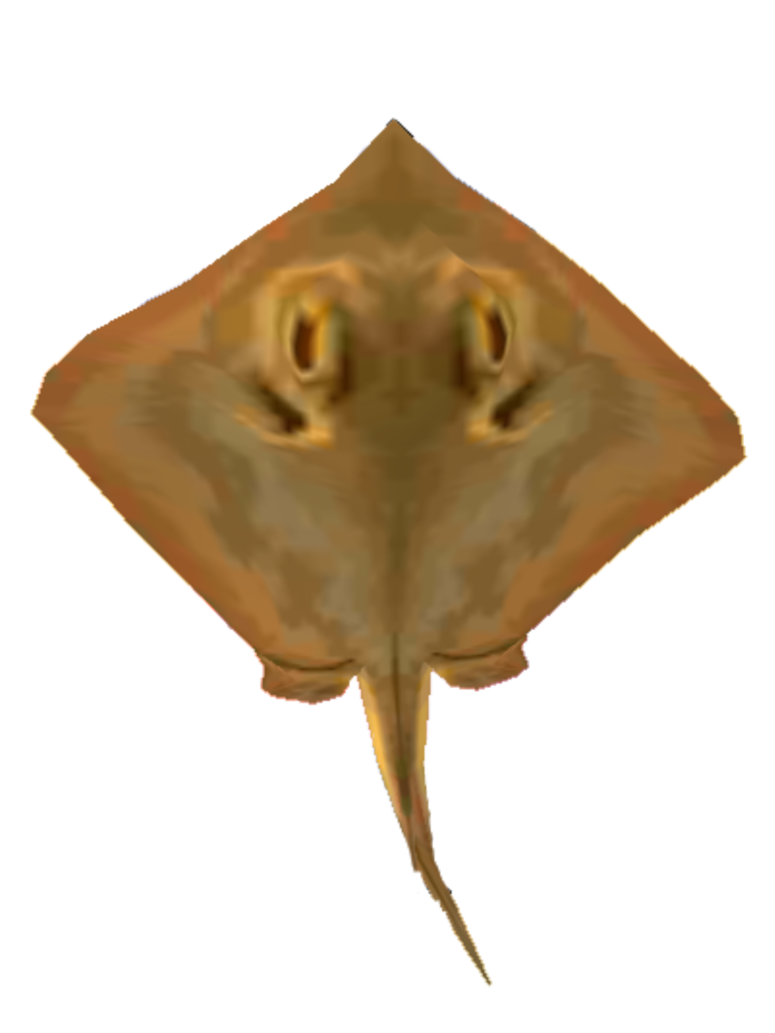 butterface freetoedit This is sticker by sparkeyartz