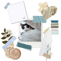 mypet cat scrapbooking newspaper journal cute blue tape freetoedit