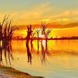 goldenhour sunset sunsetsilhouette reflectiononwater pcgoldenhour