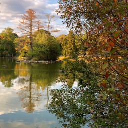 freetoedit goldenhour lake pond nature summersolstice fallcolors tranquil peaceful pcgoldenhour