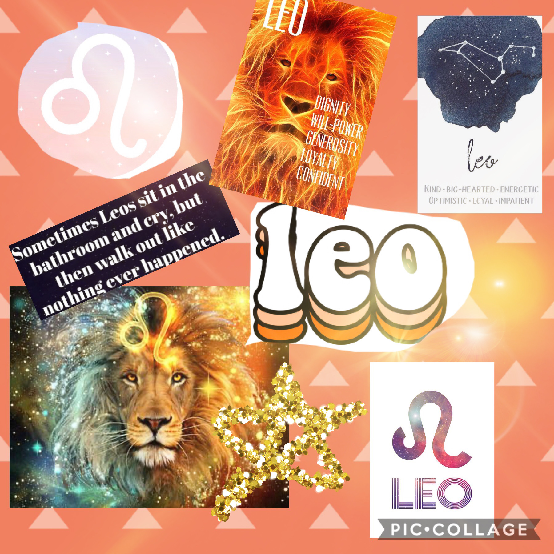 leo starsigns astrology zodiac image by @lunalovegood873